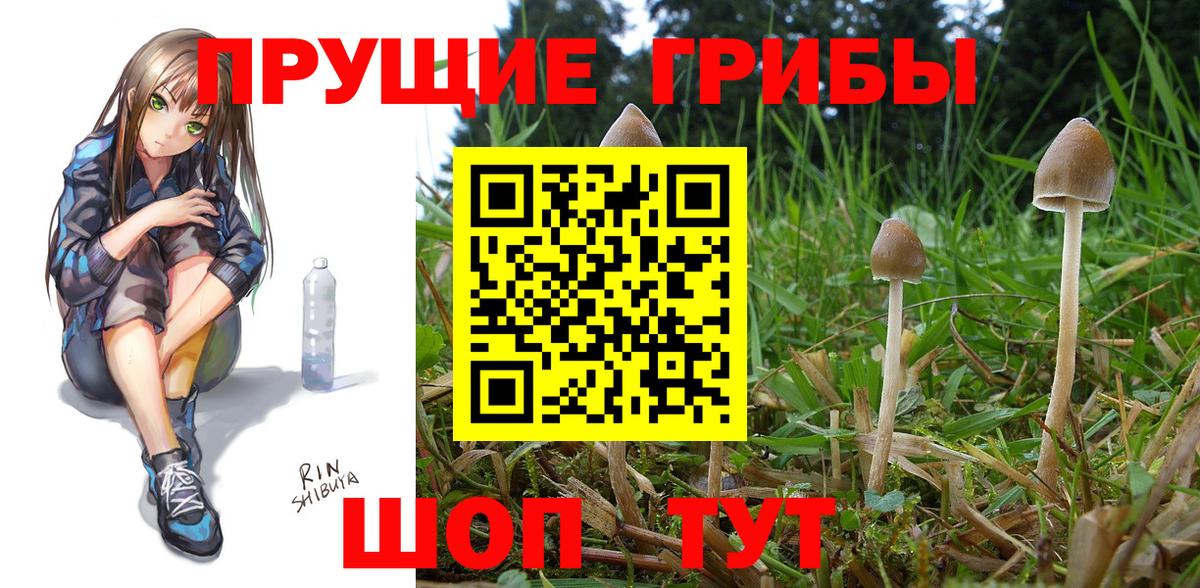 Полысаево  Псилоцибиновые грибы Cubensis  цены наркотик  Вход с VPN 